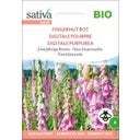 Sativa Ekološki dvoletni cvet 
