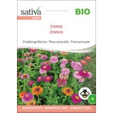 Sativa Zinnia Bio