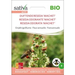 Sativa 