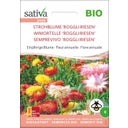 Bio Kwiaty roczne - Kocanki 'Roggli Riesen' - 1 opak.