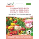 Bio Kwiaty roczne - Kocanki 'Roggli Riesen'