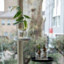 Esschert Design Keimvase - S