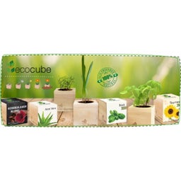 Feel Green ecocube 