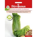 Dürr Samen BIO cikorija - 1 pkt.