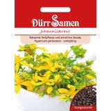 Dürr Samen Johanniskraut