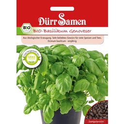 Dürr Samen BIO bazsalikom - 1 csomag