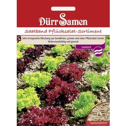Dürr Samen Nastro di Semi - Mix di Insalata - 1 conf.