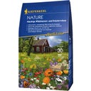 Kiepenkerl Wildflower and Herb Lawn - 250 grams