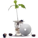 Botanopia Coupelle de Germination - Large