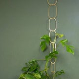 Botanopia Spaljé för Klätterväxter