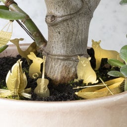 Botanopia Mini kemping növényekhez - 1 db