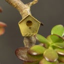 Botanopia Mini Bird House for Plants - 1 item
