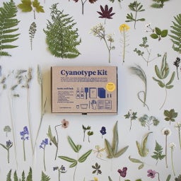 Botanopia Cyanotype Kit - 1 Set