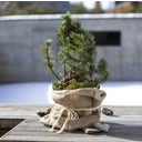 Windhager Jute-Sack Natur Öko, 3er Pack - 1 Set