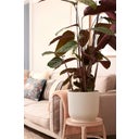 elho vibes fold round, 30 cm - Bianco seta