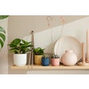 elho Cache-Pot VIBES FOLD Rond Mini - 11 cm
