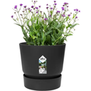 elho greenville Topf rund 16 cm - living schwarz