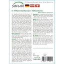 Saflax Bonsai - Afrikaanse Blauwe Regen - 1 Verpakking