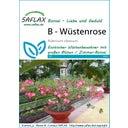 Saflax Bonsai - Woestijnroos - 1 Verpakking