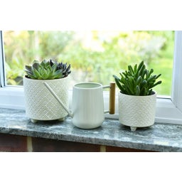 Regadera para Plantas de Apartamento - Jade Pálido - 1 pieza