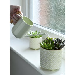 Regadera para Plantas de Apartamento - Jade Pálido - 1 pieza