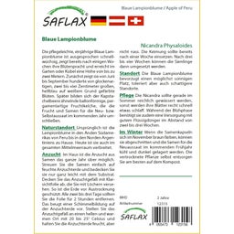 Saflax Pomme du Pérou - 1 sachet