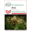 Anis