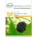 Saflax Schwarzer Maulbeerbaum - 1 Pkg