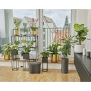 city gardening Urlaubsbewässerung inkl. Wasserbehälter - 1 Stk.
