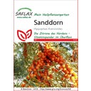 Saflax Olivello Spinoso - 1 conf.