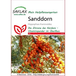 Saflax Olivello Spinoso - 1 conf.