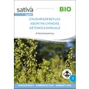 Bio Einjähriger Beifuss