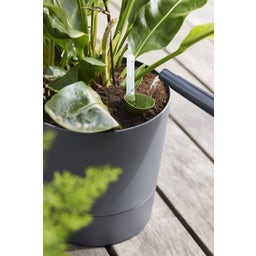 elho Pot GREENSENSE Aqua Care Rond - 35 cm - Gris charbon