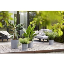 elho greensense Aqua Care 43 cm - Rund - ljusbetong