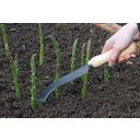Burgon & Ball Coltello per Asparagi - Ultimate - 1 pz.
