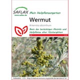 Saflax Common Wormwood