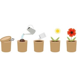 Feel Green ecopot 