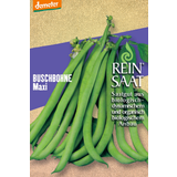 ReinSaat Fasola "Maxi"