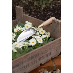 Burgon & Ball Trasplantador - Sophie Conran - 1 pieza