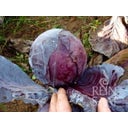 ReinSaat Cavolo Rosso - Granat - 1 conf.