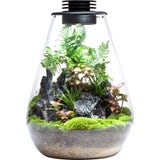 Bioloark Bio Bottle Model SD
