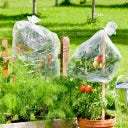 Windhager Housse pour Tomates - 1 pcs