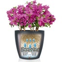 Lechuza Jardinière CLASSICO Color 60