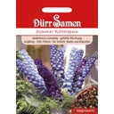 Annual Delphinium