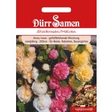 Dürr Samen Malvarosa