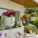 Lechuza Hangende Bloempot NIDO Cottage 35