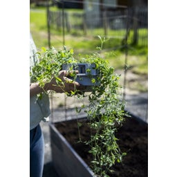 Nelson Garden Mini rastlinjak 