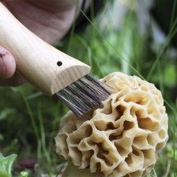Opinel Cuchillo para Setas N°08, Madera de Haya - 1 pieza