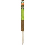 Windhager Supporto in Cocco per Piante - 60 cm