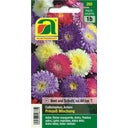 Asters Prinzess Mischung
